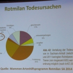 0076 Energie Zukunft BUND Hessen M Krauss Folie 09.jpg